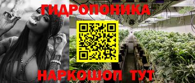 эйфоретик Краснознаменск