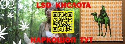 гашик Краснодар