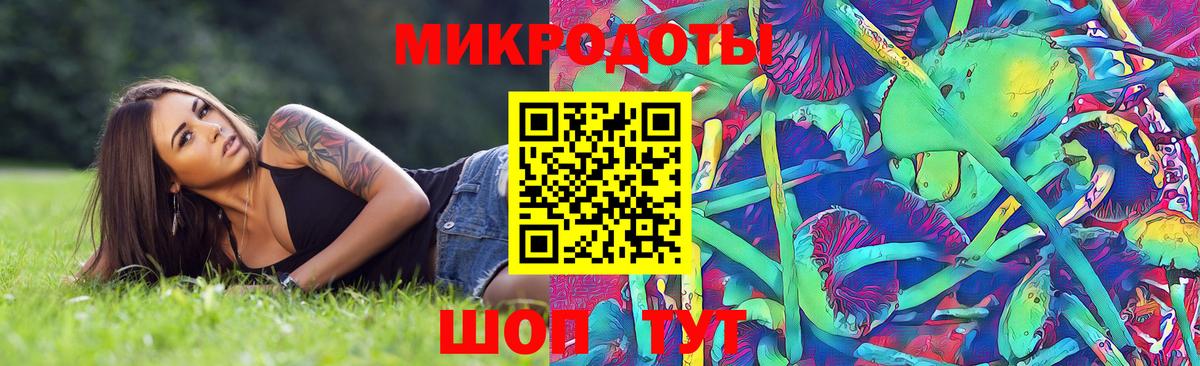 Псилоцибиновые грибы ЛСД  Псилоцибиновые грибы GOLDEN TEACHER  цена наркотик  Кизилюрт  Вход с VPN 